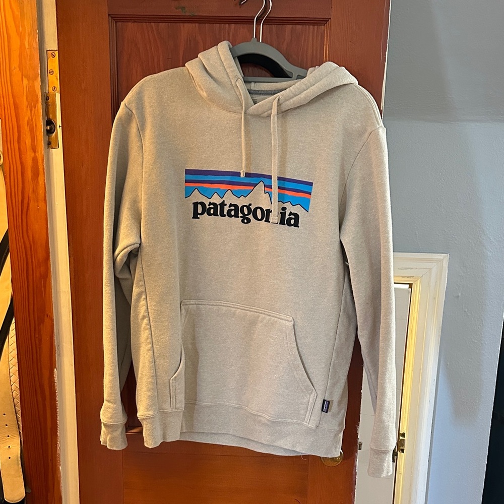Patagonia Light Gray Hoodie with Blue Accents